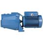 Kandoz Water Pump, 0.75 HP - Blue