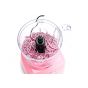 Swiss Pro Plus Food Processor, 600 Watt, Pink - SP-FOOD600.8