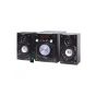 Tiger Subwoofer Speaker System with Remote Control, Black - R-2030