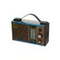 Wired FM Radio, 11 Bands, 200W, Multicolor - LT-2009