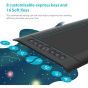 Huion H610Pro V2 Graphics Drawing Pen Tablet 8192 Pressure Sensitivity with Battery-Free Stylus
