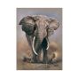 African Elephant Skin For Apple Ipad Mini 6th Gen