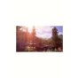 Life Is Strange True Colors for PlayStation 4