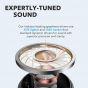 Anker Soundcore Life P2 Wireless Earphones with Microphone, Black - A3919013