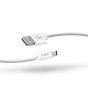 كابل اس بي اس بولو USB فئة C للشحن ونقل البيانات، 1 متر - ابيض