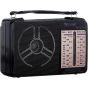 Golon Wireless Radio, 5 Bands, 110-220V, Black - RX-607AC