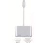 محول 2 في 1 USB فئة C الى VGA وHDMI - فضي