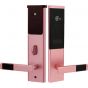 قفل باب سمارت، بينك - AZX-603J