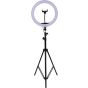 M-33 Live Stream 360 Degree Rotated LED Ring Light 33 cm With Mobile Phone Holder And 2.1 Meter Stand - Black & White
