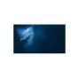 Ascension Skin For Apple Ipad Mini 6th Gen