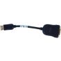Foxconn Display Port to DVI Adapter Cable, 20 cm, Black - KX 2905