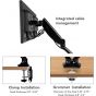 Loctek Dual Arm Holder for 10 to 27 Inch Monitors, Black - LYSB00ST052XS-CMPTRACCS