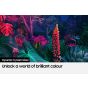 Samsung 85 Inch 4K UHD Smart LED TV with Built in Receiver - 85BU8000
