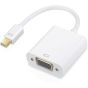 Zhiyuen Mini Display Port to Vga Adapter - White