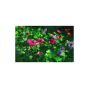 Cloverscape Skin For Apple Ipad Mini 6th Gen