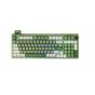 Epomaker Wireless  Keyboard, Flamingo Switch, Green - RT100