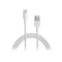 كابل شحن USB فئة A إلى لايتنينج، 0.1 متر - ابيض