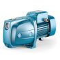 City Self Priming Water Pump, 1 HP - Blue