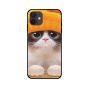 Zoot TPU Cats Pattern Back Cover For IPhone 12