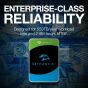 Seagate Skyhawk Internal HDD, 10 TB, 3.5 Inch, Silver - ST10000VEZ01