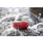 JBL CHARGE 5 Bluetooth Speaker- Red