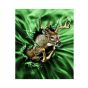 Break Through Deer Skin For Apple Ipad Mini 6th Gen