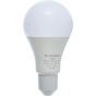 G-Power LED Classic Light Lamp, 1500 Lumen, 15W - GP247