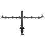Dual Arm Holder for 17 to 32 Inch Monitors, Black - PM100-MD1732