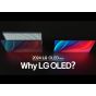 2024 LG OLED evo AI | Why LG OLED?