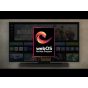 2024 LG webOS | Renew your TV every year