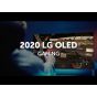 2020 LG OLED TV l SELF-LIT PiXELS Make Gaming More Responsive