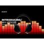WH-XB900N Wireless Noise Cancelling Headphones