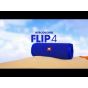 JBL Flip 4 Waterproof Portable Bluetooth Speaker, Squad