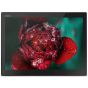 Lenovo ThinkPad X1 Tablet Gen 3 Laptop, Intel Core i7-8550U, 13 Inch, 512GB SSD, 16GB RAM, Intel UHD 620, Windows 10 - Black