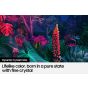 Samsung 65 Inch 4K UHD Smart QLED TV with Built in Receiver - 65Q80BA