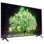 LG 65 Inch 4K UHD Smart OLED TV with Built-in Receiver - OLED65A1PVA