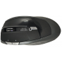 Porsh Dob Wireless Mouse, Black - M550