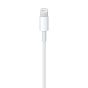 Apple Lightning To USB Cable, 1M- White