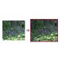 LG Ultra Gear 24 Inch Gaming Monitor, 144Hz, 1ms, Black - 24GN65R-B