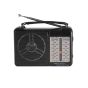 Golon Mini Electric Classic Radio, Black - RX-607AC