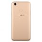 OPPO F5 Dual Sim, 32 GB, 4G, LTE - Gold With Metalic Back Cover And Wave Screen Protector
