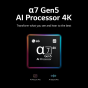 شاشة تلفزيون ال جي OLED سمارت سيريز A2، دقة 4K مقاس 65 بوصة بريسيفر داخلي - OLED65A26LA