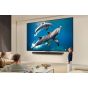 LG TV 65 Inch 4K UHD Smart LED  with Built in Receiver - 65QNED80A6A