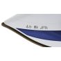 Tornado Steam Iron, 2800 Watt, White x Blue- TST-2400E