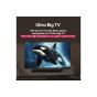 تلفزيون سمارت  ال جي 50 بوصة، LED،  دقة 4K UHD، بريسيفر داخلي - 50UA85006LA