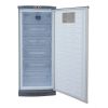 W.Alaska Upright No-Frost Deep Freezer, 290 Liters, Silver - UP200NF