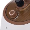 Media Tech Garment Steamer, 1750 Watt, White and Gold - MT-206